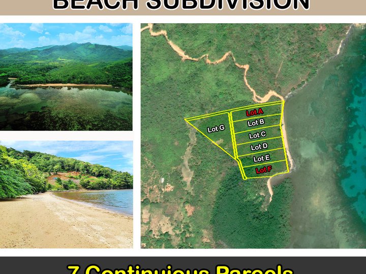 Sibaltan, El Nido Nature Lovers Exclusive Beachfront Subdivision