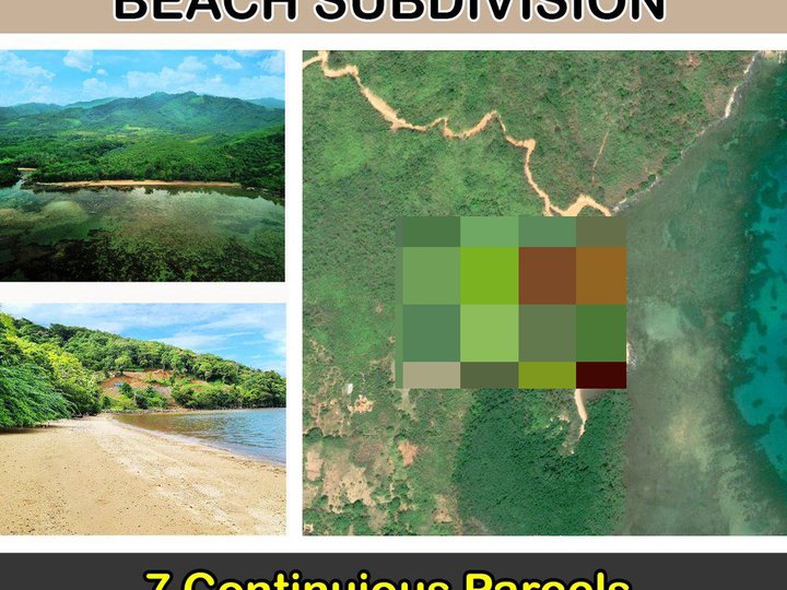 8,058 m2 / 2 Acres Sibaltan, El Nido Nature Lovers Exclusive Beachfront Subdivision