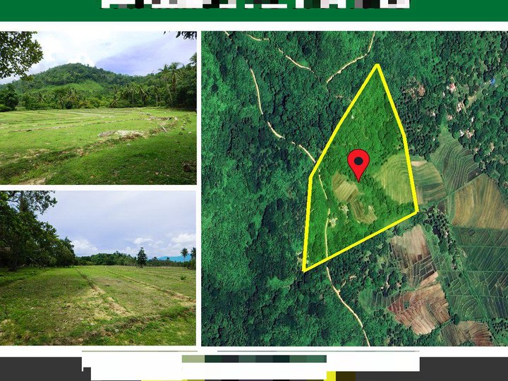 62,306 m2 / 15.39 Acres Enormous Productive Estate Minutes from Beach