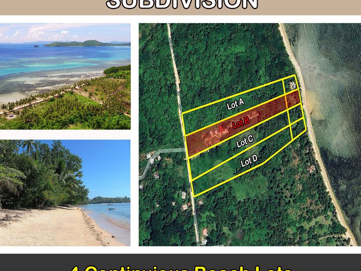 9,465 m2 / 2.34 Acres Teneguiban, El Nido Upcoming Tourism Zone Beach Subdivision