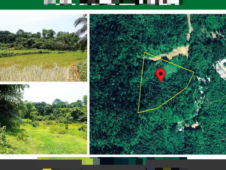 47,513 m2 / 11.7 Acres A Homestead Estate for Development Near Airport in El Nido