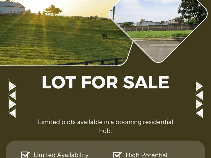 Versailles Lot for Sale in Alabang Muntinlupa - Negotiable