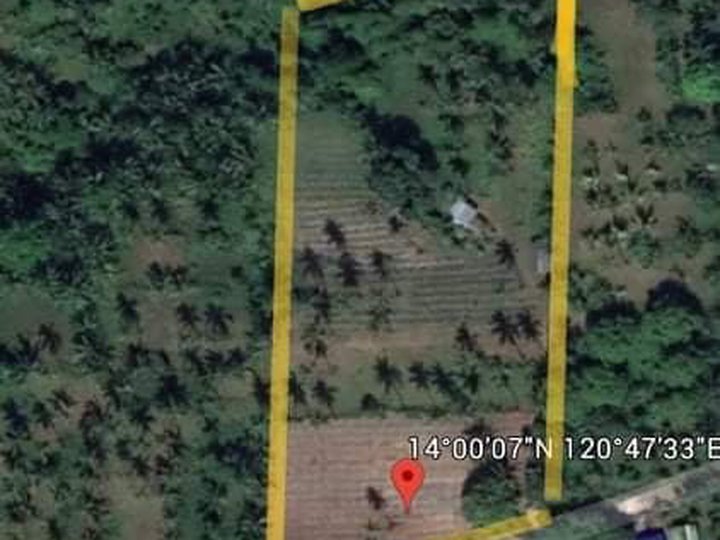 22-hectares-for-sale-at-a-very-low-price-100-sqm-lot-january