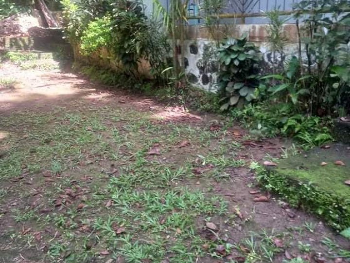 13000 sqm Agricultural Farm For Sale in Tanay Rizal