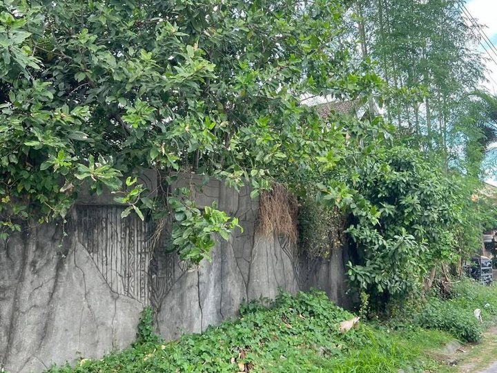 SALE: 602 sqm Lot at Essel Park, San Fernando Pampanga