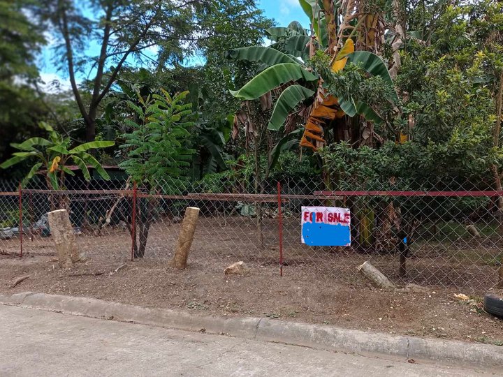 233.5 sqm Residential Lot For Sale in Caloocan Metro Manila