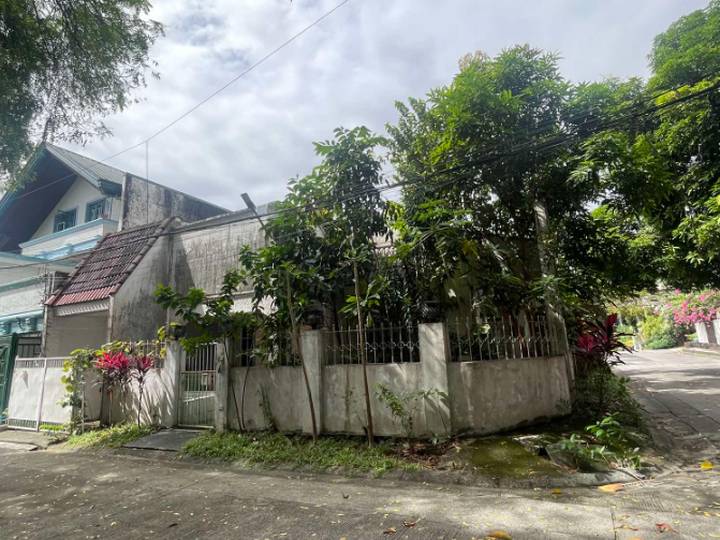 220 SQ M CORNER LOT NORTH SUSANA EXECUTIVE VILLAGE, MATANDANG BALARA, QUEZON CITY