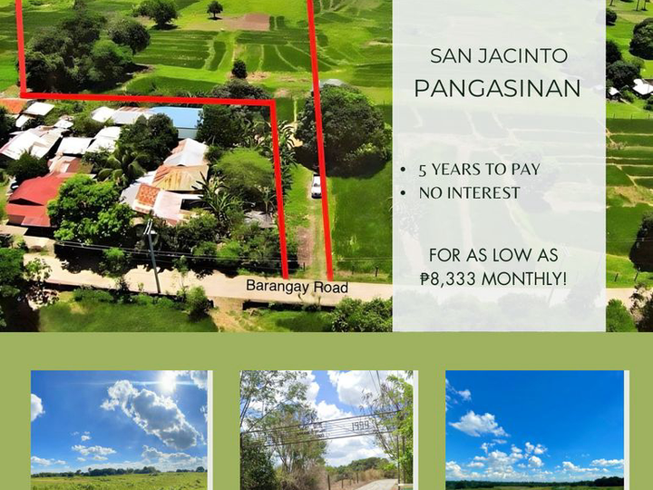 1,000 sqm Residential Lot For Sale in San Jacinto Pangasinan