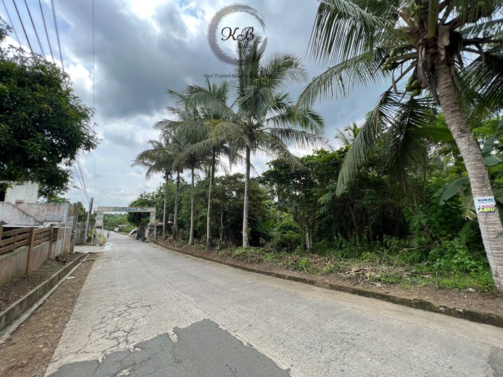 1.3 hec titled lot for sale at Silang Cavite near Aguinaldo Highway