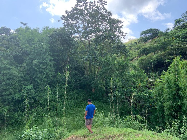 Agricultural land with 2 unfinished bungalow house. Along barangay road. Former citrus plantation.