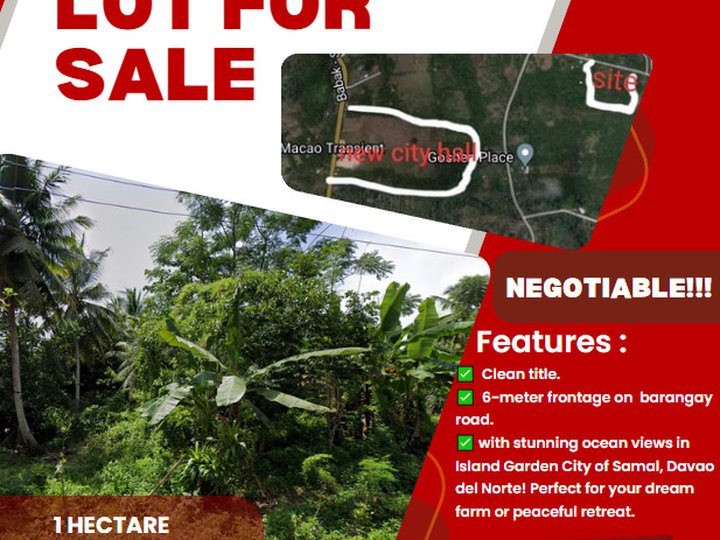 1 hectare for Sale in Samal Davao Del Norte