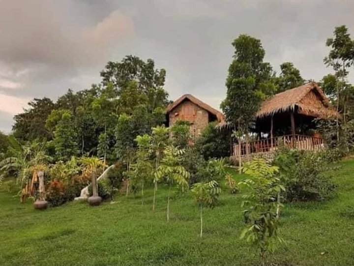 Installment Farm Land in Bohol