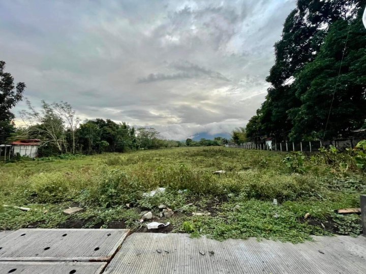Commercial Lot along National Road boundary of Candelaria Quezon