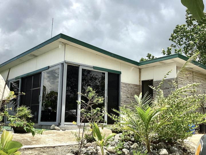 Residential Farm in General Tinio, Nueva Ecija with 50 Mango Trees