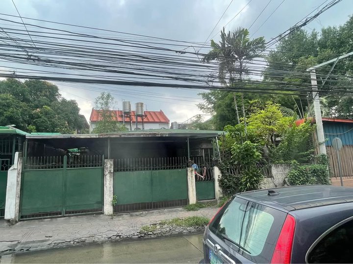 House for Sale in Better Living Subd Don Bosco Paranaque City