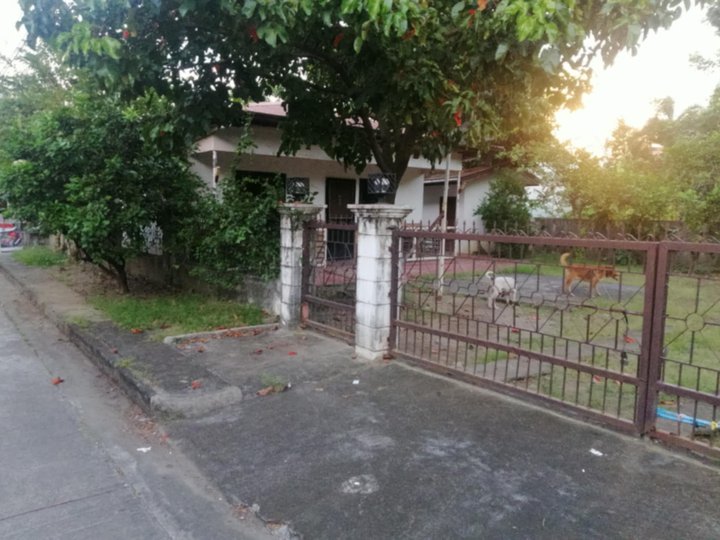 300sqm Bungalow for Sale in Meadowood Exec Village Aguinaldo Highway Bacoor