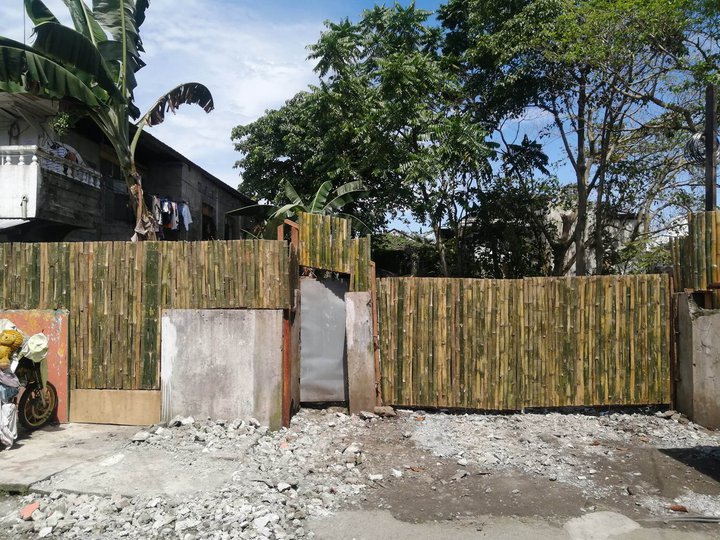 Prime Property in Downtown Tacloban