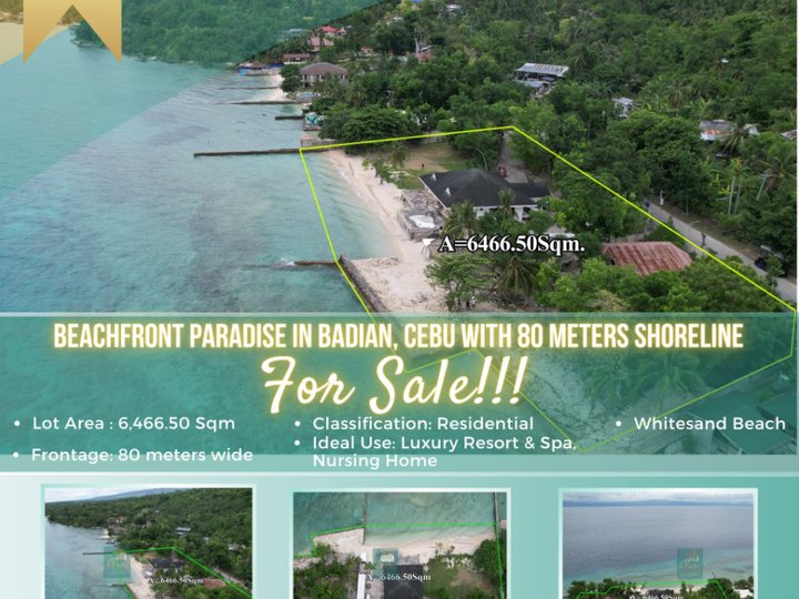 For Sale Prime White Sand Beach Lot in Badian, Cebu