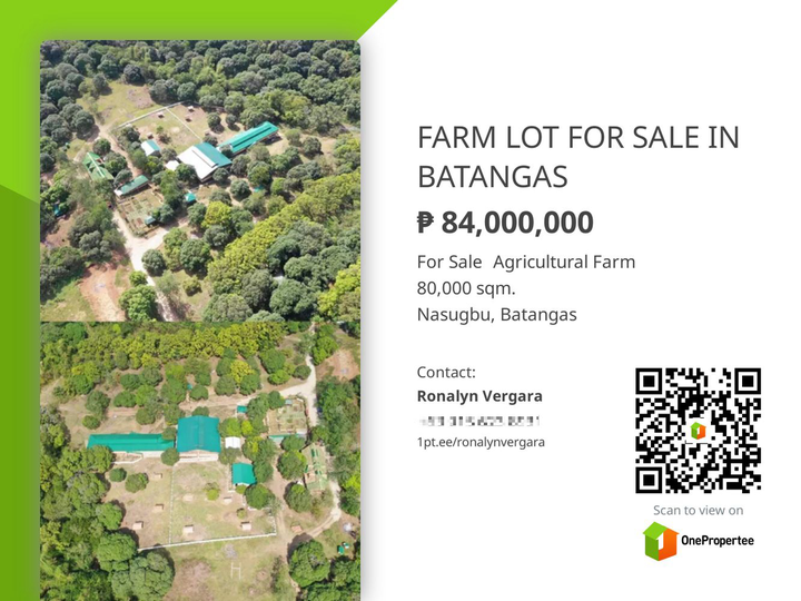 FARM LOT FOR SALE IN BATANGAS