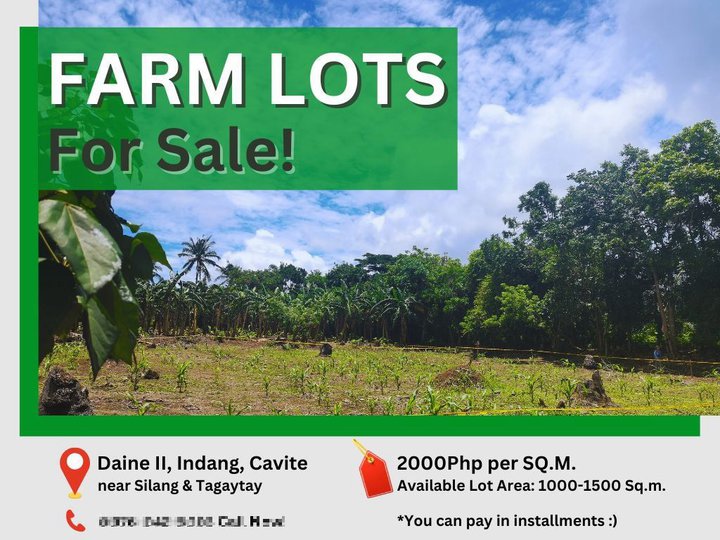 Lot for Sale in Indang Cavite!!! Promo Price Starts at PHP1850.00!!!