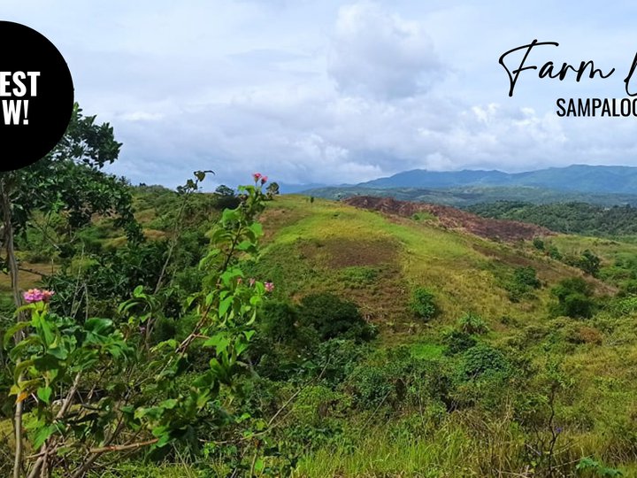 LOT FOR SALE IN TANAY RIZAL [Lot 🚜] (August 2021) in Tanay, Rizal for