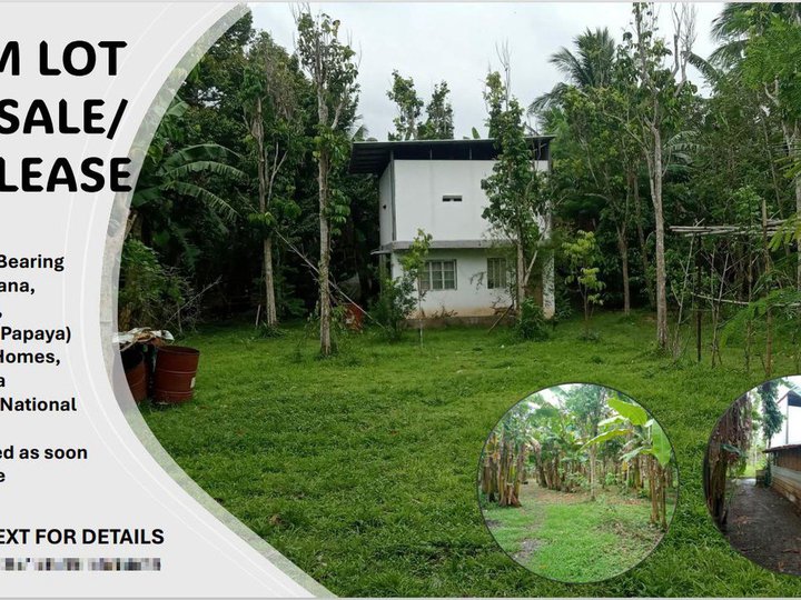 2808 sqm Agricultural Farm For Sale in Bay Laguna