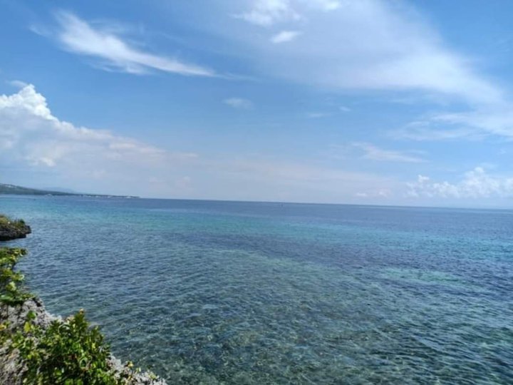 Beach lot 100 sqm Residential Lot For Sale in Alcoy Cebu