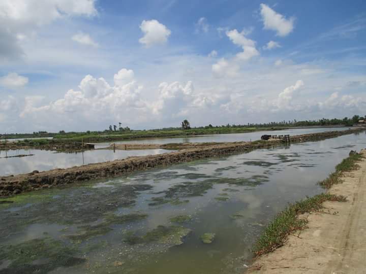 3 hectares fishpond for sale in Roxas City Capiz .