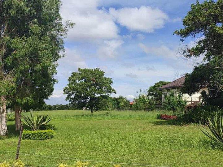 Promo LOT 503sq.m - 25k Monthly Promo in Sta.Rosa Laguna near Nuvali