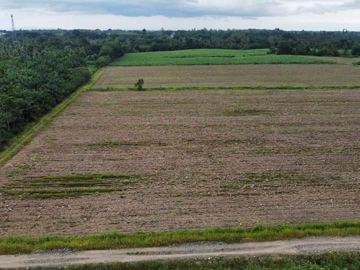 52000 sqm Agricultural Farm For Sale in Kidapawan Cotabato