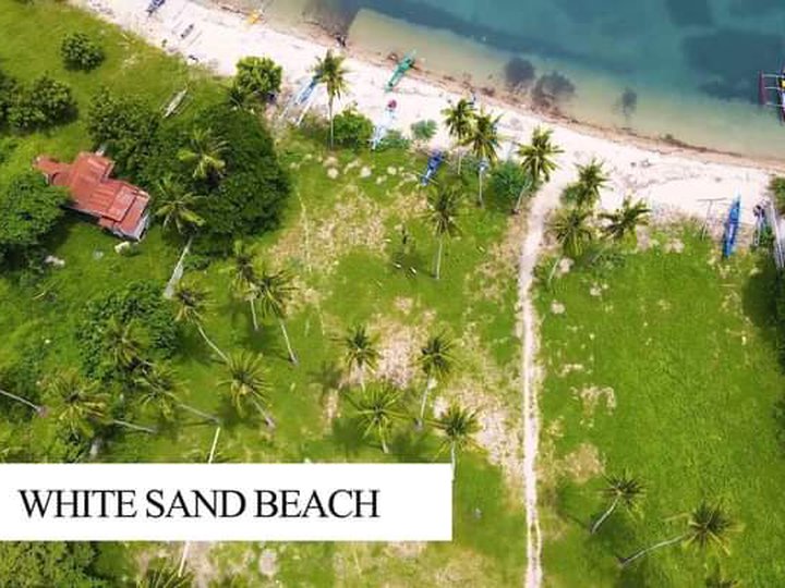 Lot for sale in beach front of Laiya Batangas