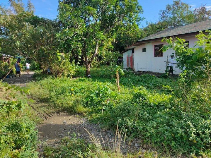 600 sqm Residential Lot For Sale in Alaminos Pangasinan