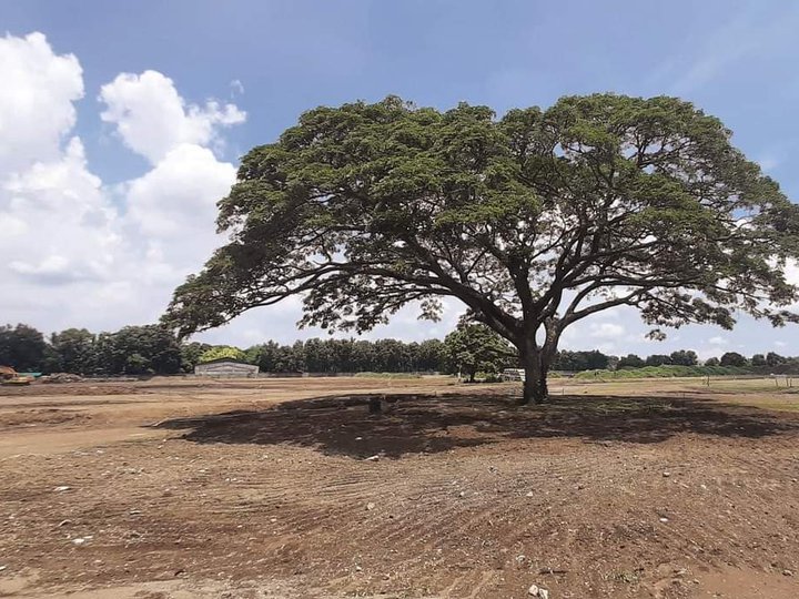 500 sqm Residential Lot For Sale in Lipa Batangas