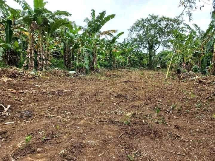 Residential Lot For Sale in Indang Cavite