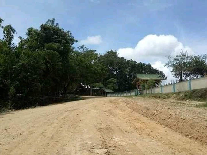 Subdivision lot located at San Isidro maribojoc