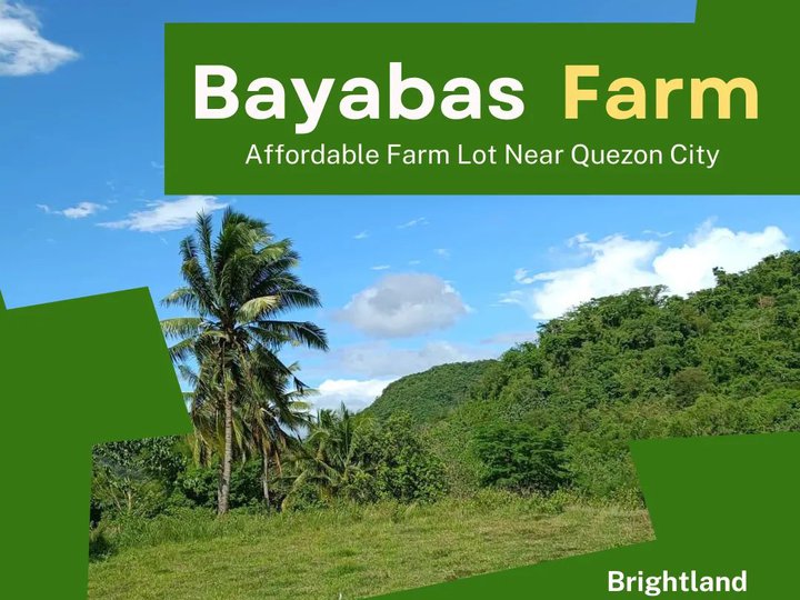 Farm Lot Installmennt Near Tourist Spot In Bulacan Lot August 2022 