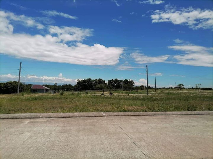 Lot for sale in Cauayan City Isabela