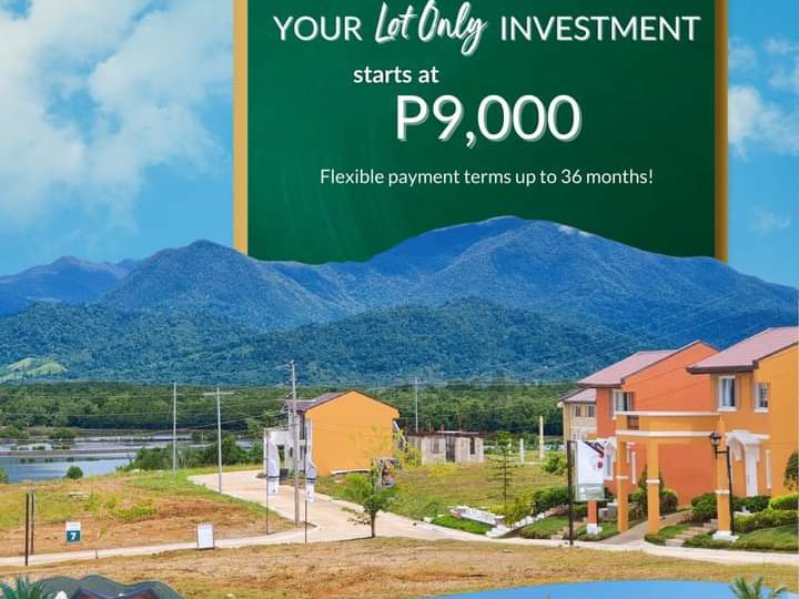 Lot only in Camella Palawan