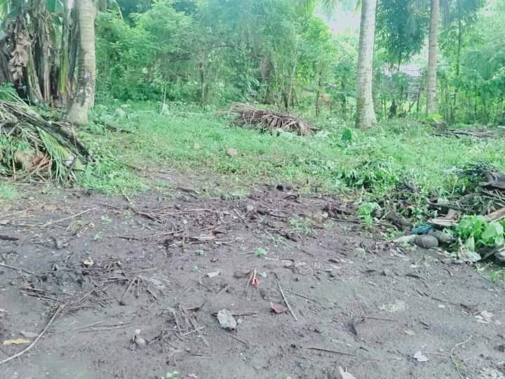 Residential Lot near National hway beside proposed brgy. Road [Lot 🚜