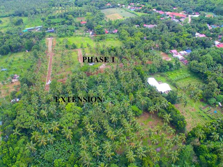 300sqm Farmlot in bendita,magallanes cavite [Lot 🚜] (November 2022) in