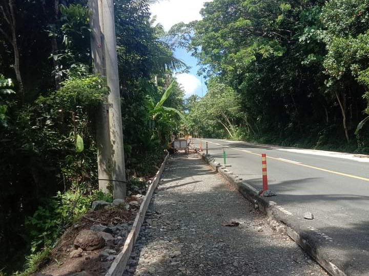 15000 sqm Along the Highway Lot For Sale in Unisan Quezon