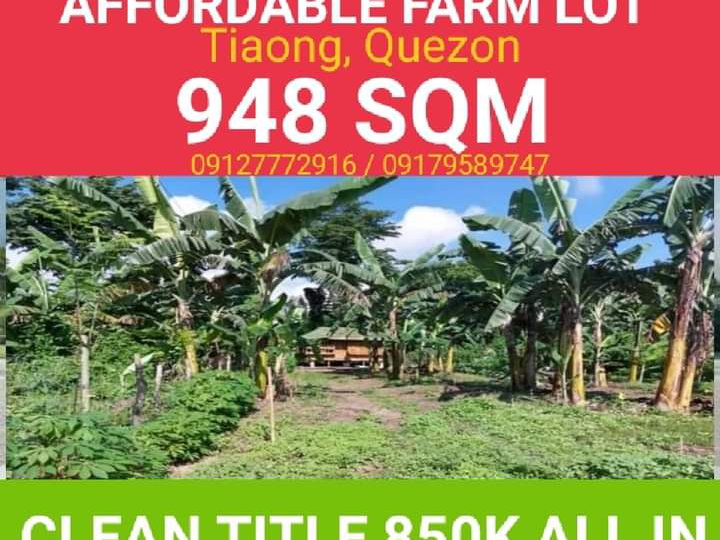 AFFORDABLE FARM LOT FOR SALE IN TIAONG QUEZON