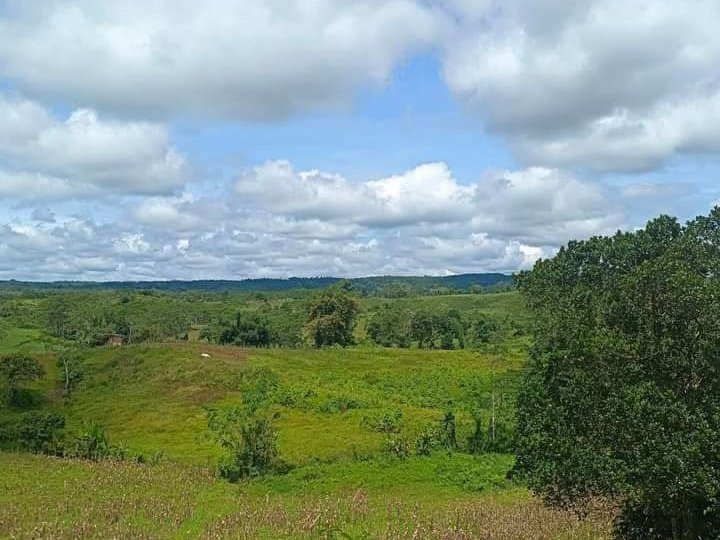 5 hectares of land with amazing view for sale