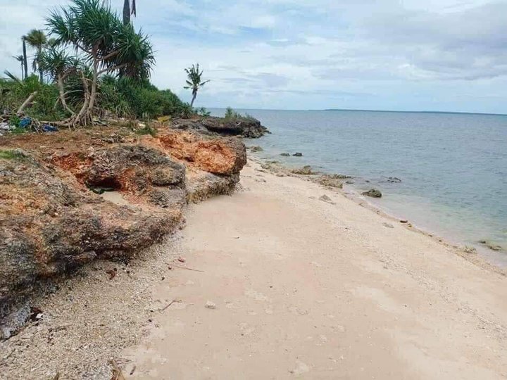 200 sqm Beach Property For Sale Agujo Daanbantayan Cebu