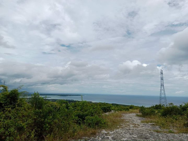 120sqm Seaview Lot for Sale in Sibonga Cebu complete with amenities