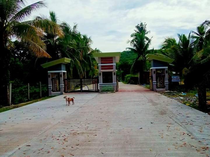 Pre-selling Lot in Dauis-Panglao Island Bohol Philippines