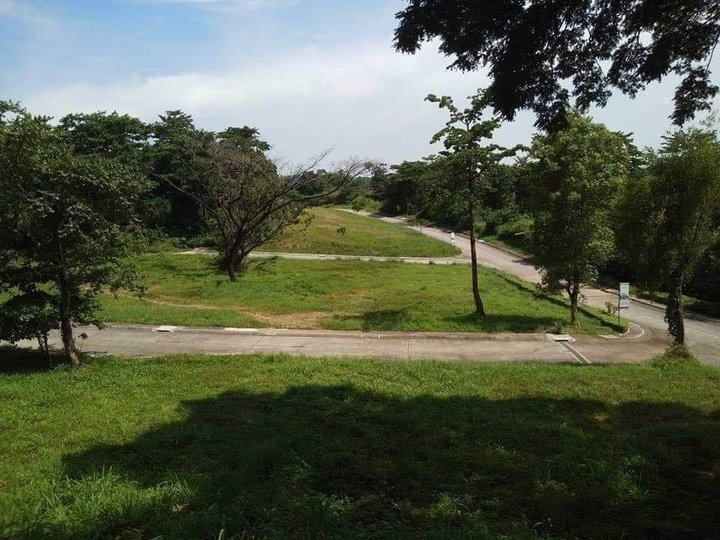 350 sqm Residential Lot For Sale in Angono Rizal