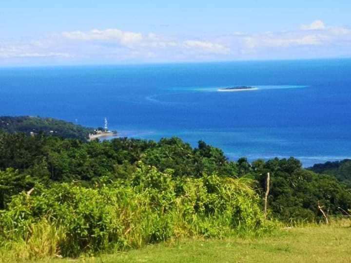 138000 sqm Agricultural Farm For Sale in Guinsiliban Camiguin