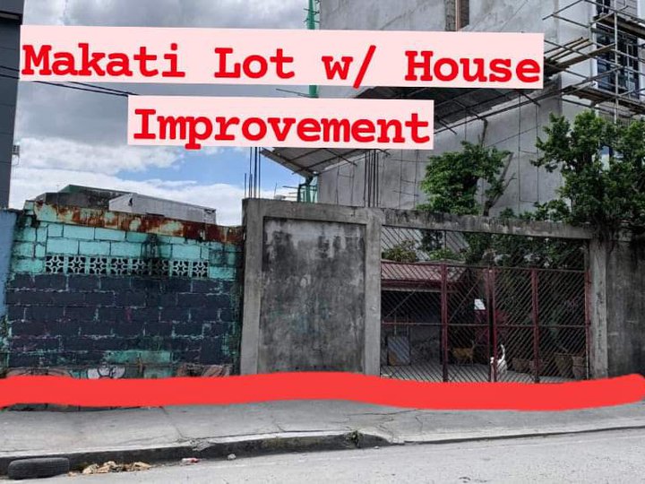 LOT WITH HOUSE IMPROVEMENT IN MAKATI