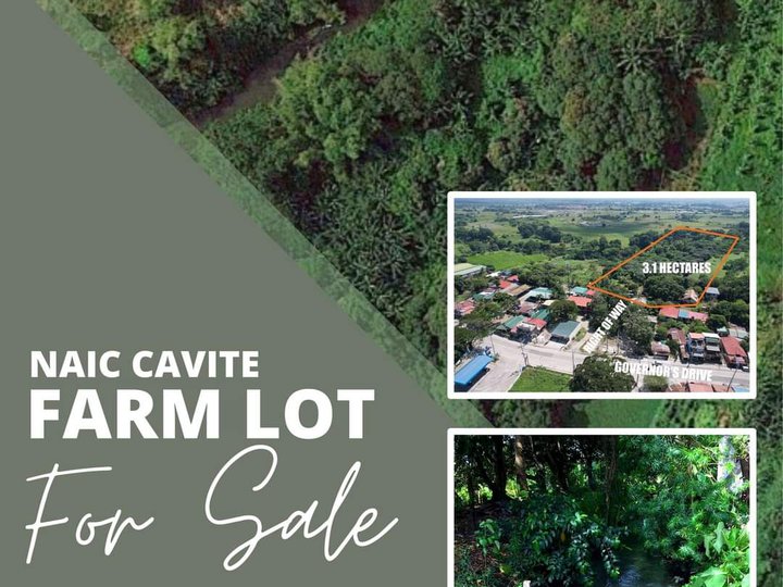 For sale 3.1 Hectare Farm Lot in Naic Cavite